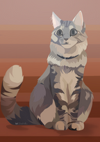 Pet Portraits