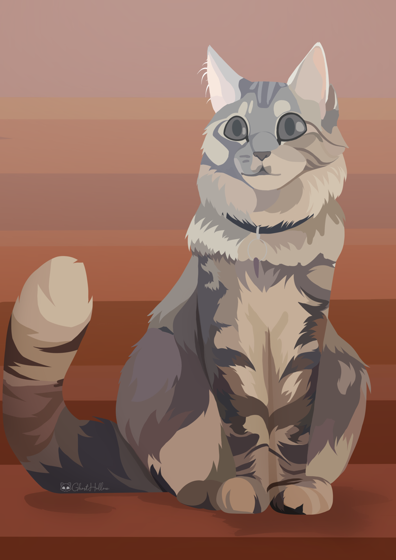 Pet Portraits