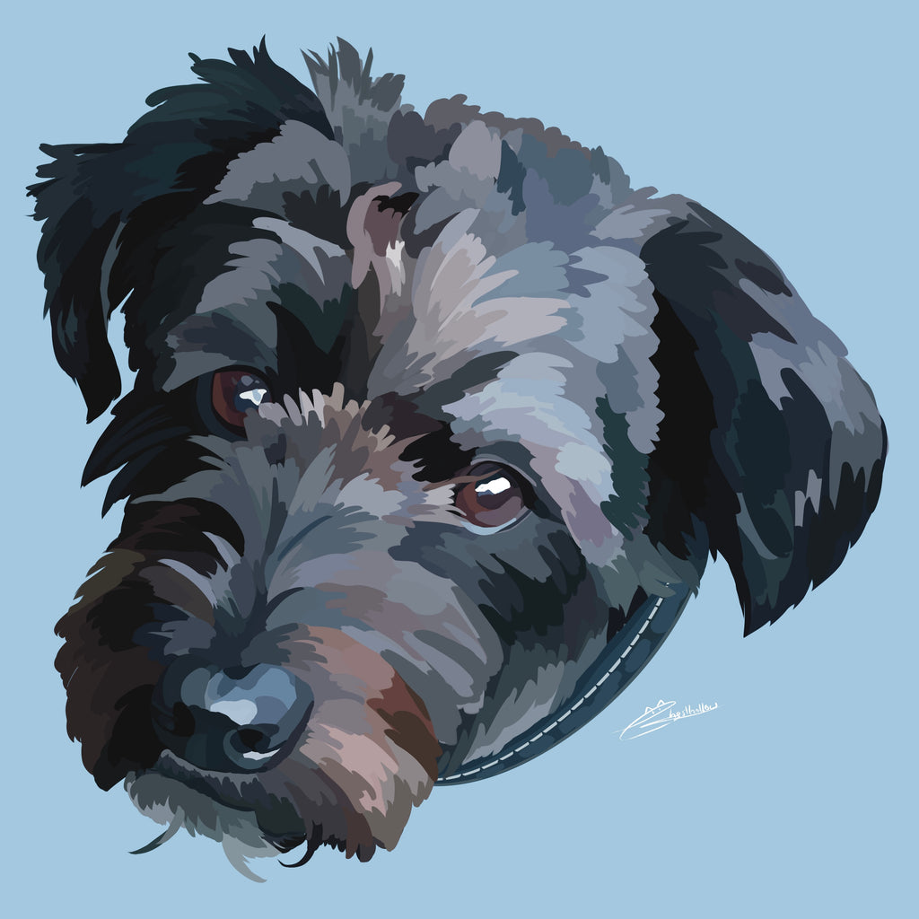 Pet Portraits