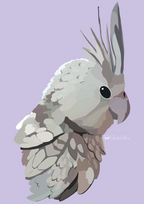 Pet Portraits