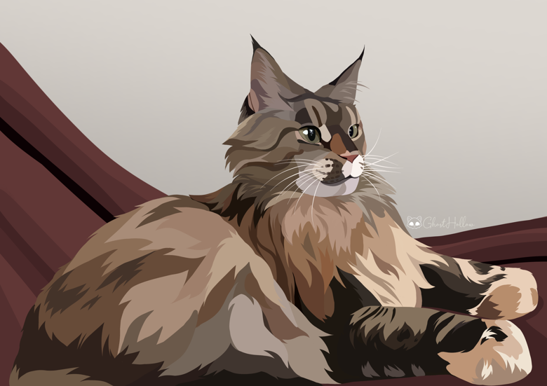 Pet Portraits